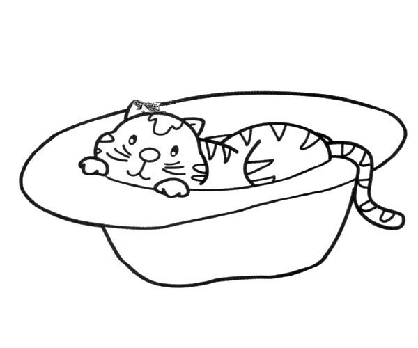 kitten in bathtub