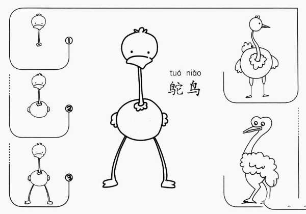 How to draw an ostrich