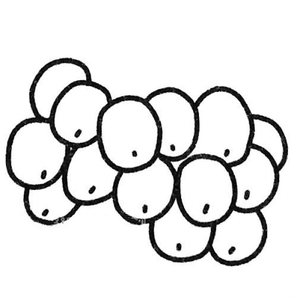 Six beautiful simple drawing pictures of grapes