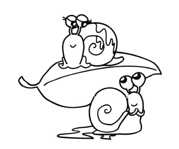 Mr. and Mrs. Snail