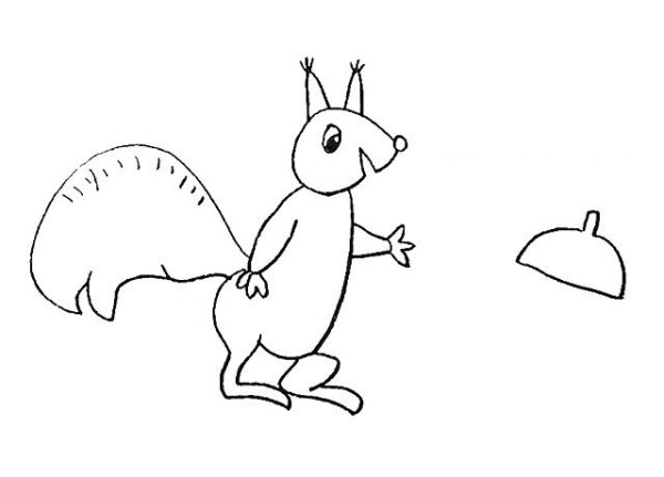 Learn to draw a squirrel step by step