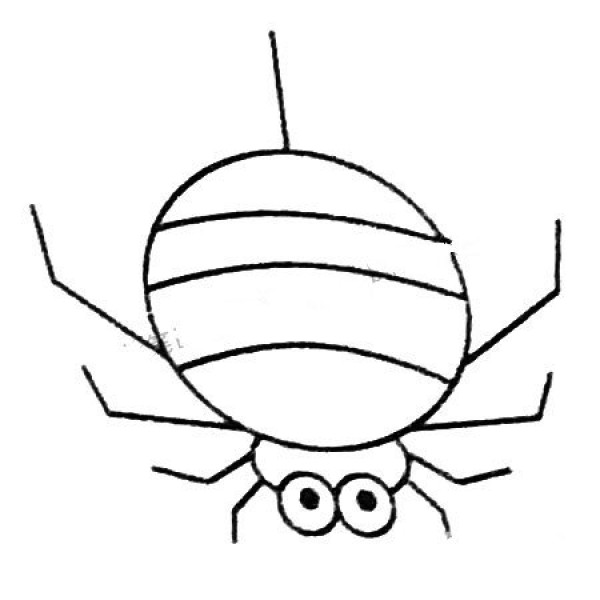 Spider simple drawing pictures and drawing steps