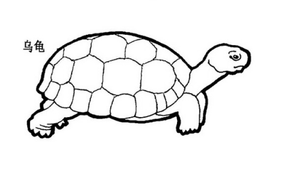 Simple strokes of turtle pictures