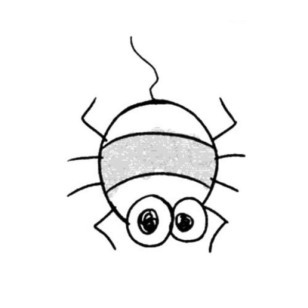 Cartoon Spider Simple Drawing Picture