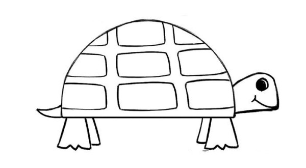 How to draw a cute little turtle in nine steps