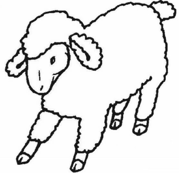 Simple strokes of little sheep