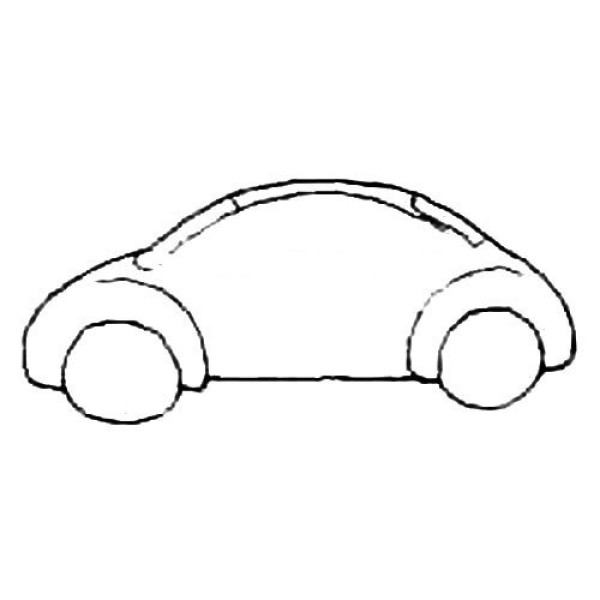 beetle car