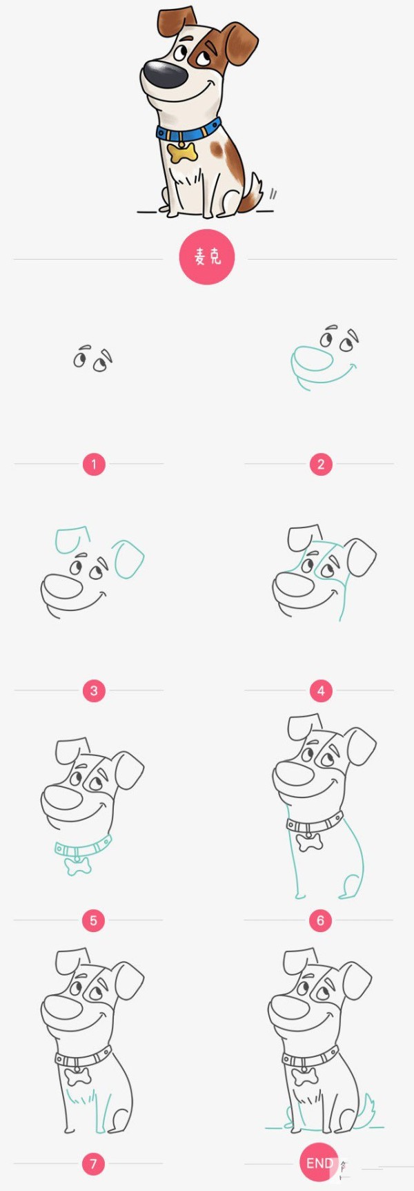 Simple drawing tutorial, simple drawing steps of a cute puppy