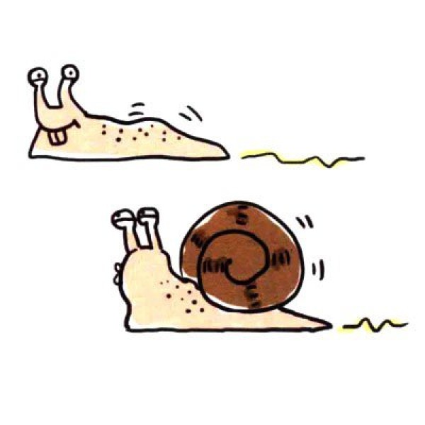 How to draw a cute simple snail in four steps