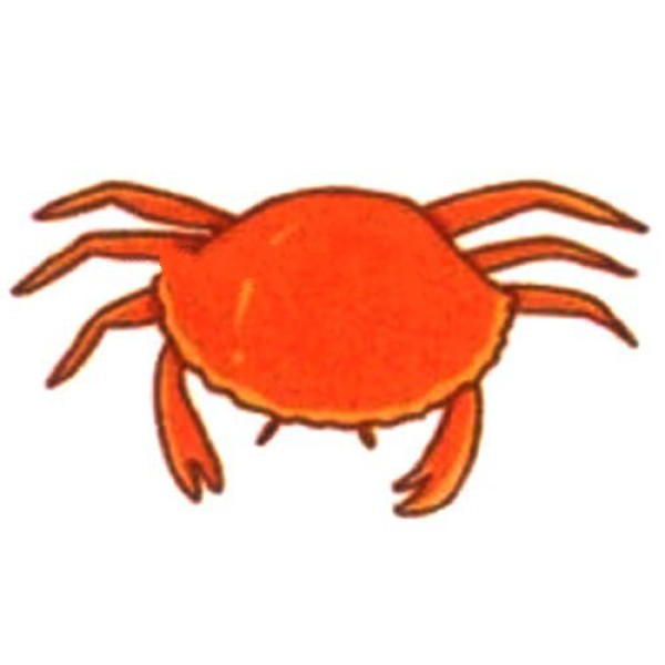 Crab simple drawing tutorial