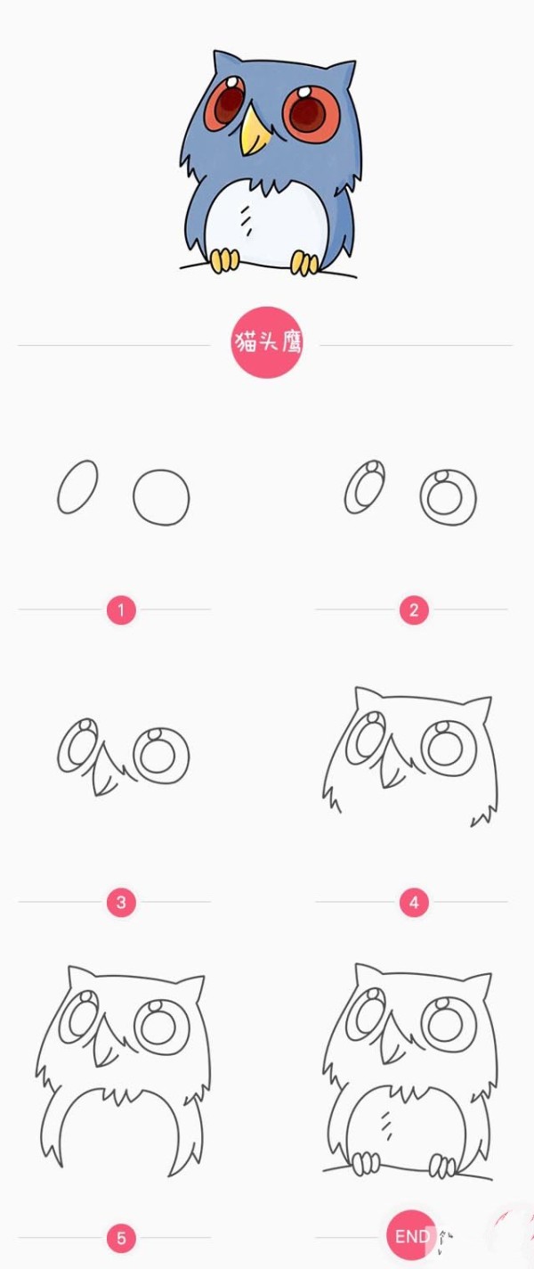 Childrens simple drawing method of owl