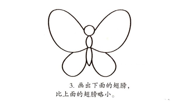 Learn to draw flowers and butterflies step by step