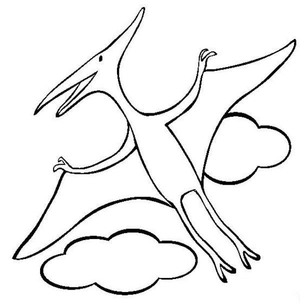 Complete collection of dinosaur pictures and simple drawing pictures of pterosaurs