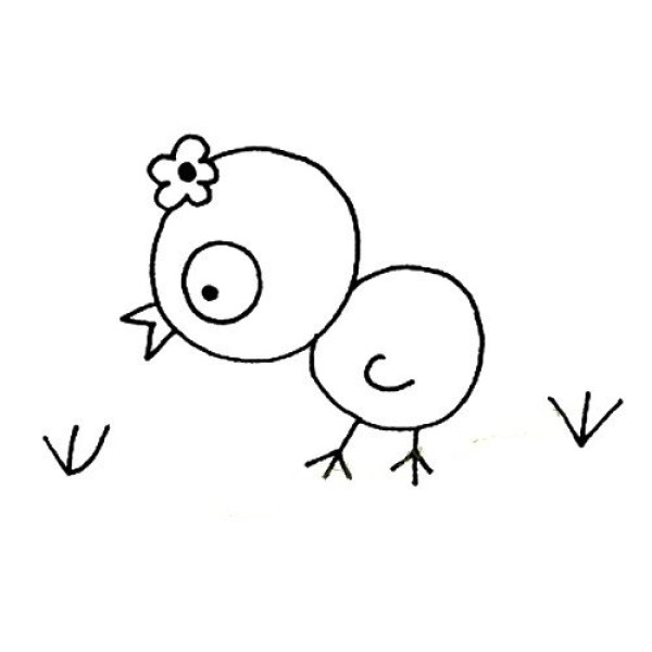 Simple chicken drawing pictures