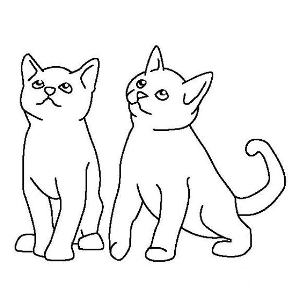 Simple strokes of pet kittens