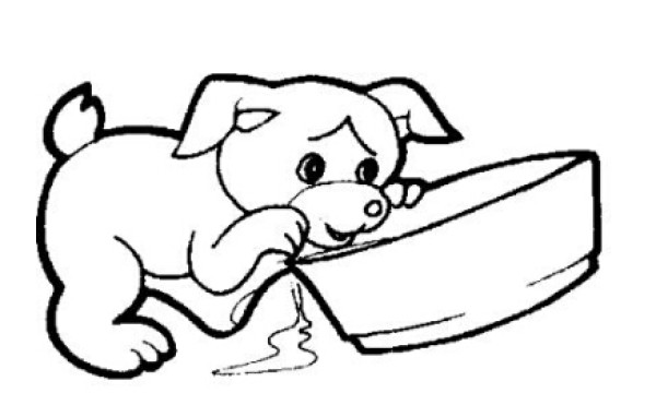 Simple drawing of a puppy drinking water