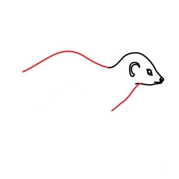 African weasel simple strokes drawing tutorial