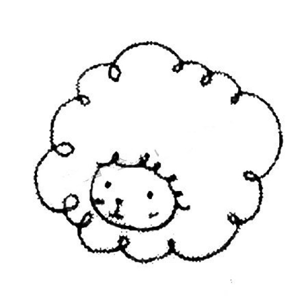 How to draw a little sheep