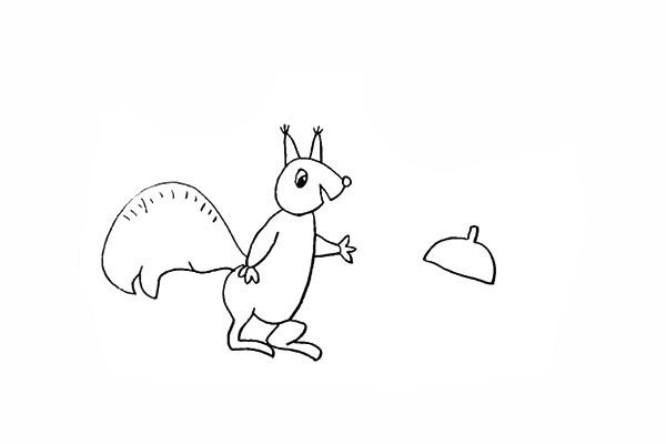 How to draw a little squirrel