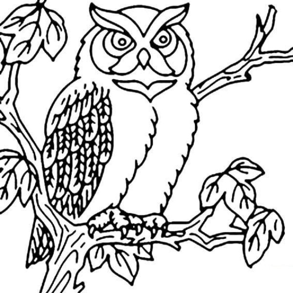 Simple drawing of owl on the tree