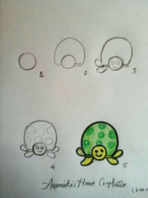 Step by step drawing of turtle