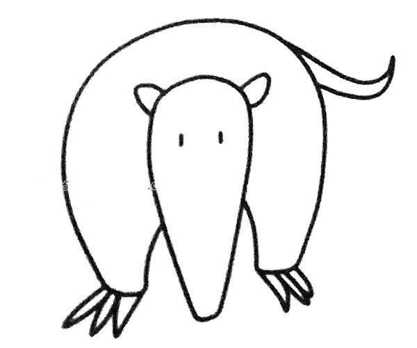 Learn to draw an anteater in four steps