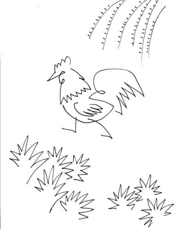 Introduction to how to draw a rooster in simple strokes