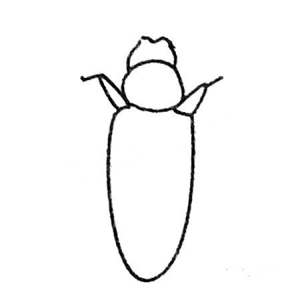 Simple strokes of beetle drawing pictures and drawing steps