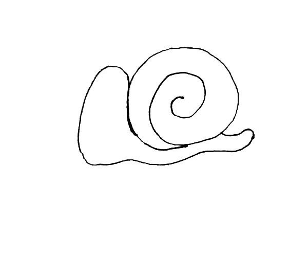 Children learn to draw snails easily