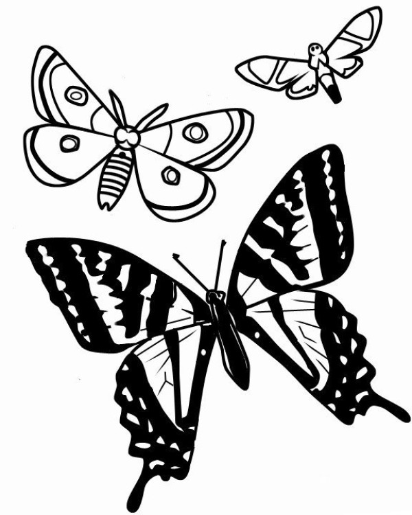 Simple drawing picture of flying butterfly