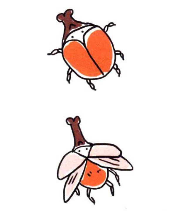 Draw a cute simple drawing of a weevil with a long mouth in four steps