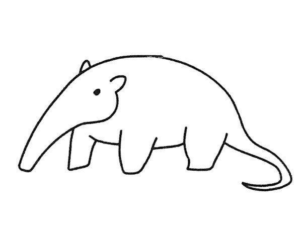 Simple strokes of anteater pictures