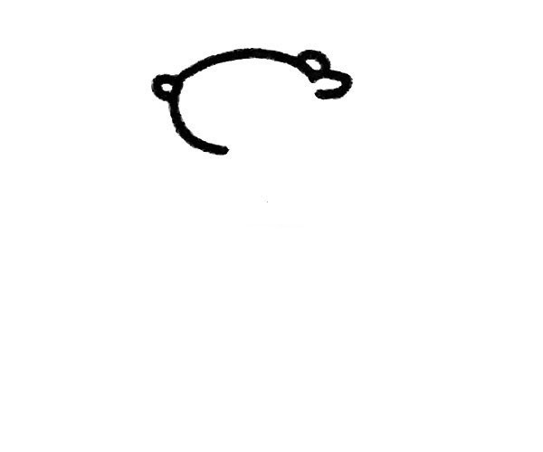 Learn to draw a weasel in four steps