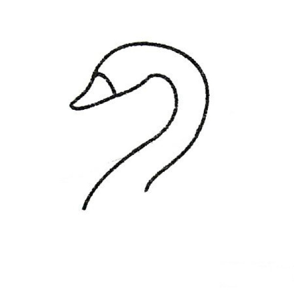 Complete collection of swan simple strokes and drawing steps