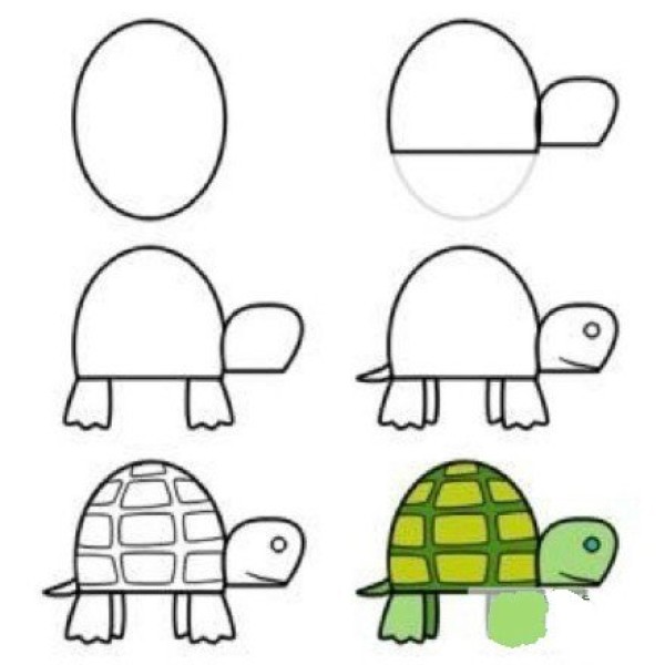 Teach you how to draw a little turtle