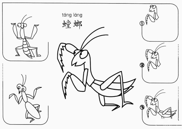 How to draw a praying mantis