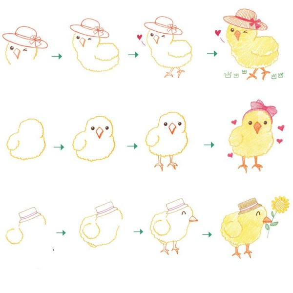 Step by step drawing of three kinds of chicks