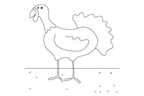 Cartoon turkey simple drawing picture hand drawn