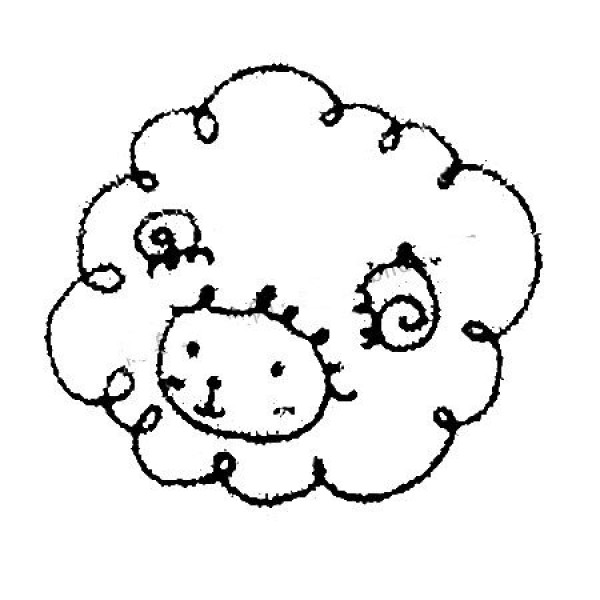 How to draw a little sheep