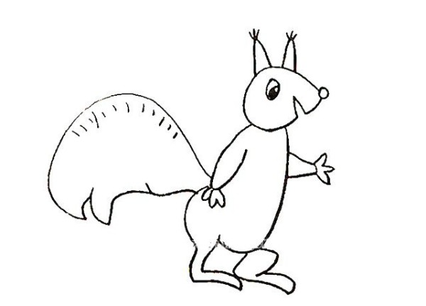 Learn to draw a squirrel step by step