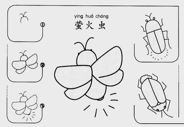 How to draw fireflies