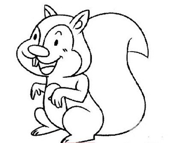 Animal simple drawing little squirrel