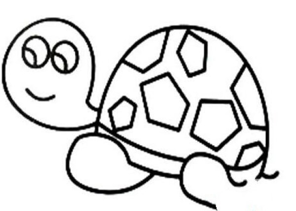 Hand drawn cute little turtle simple drawing cartoon picture sketch