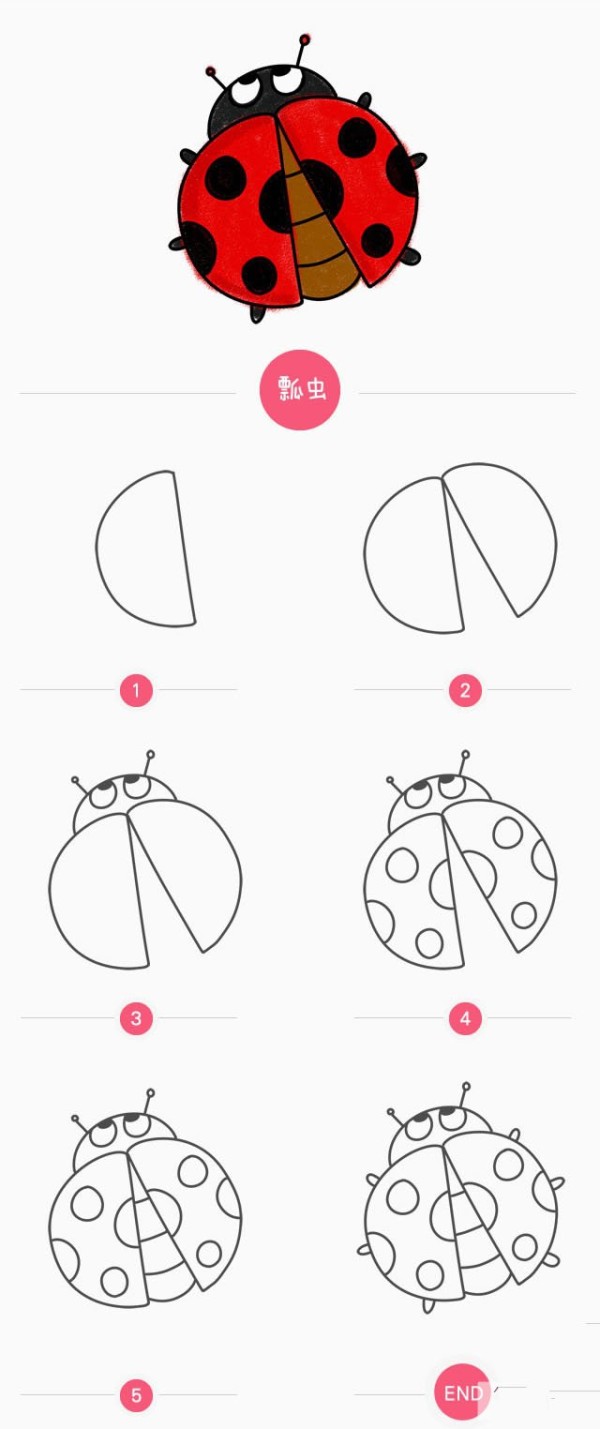 How to draw a ladybug in simple strokes