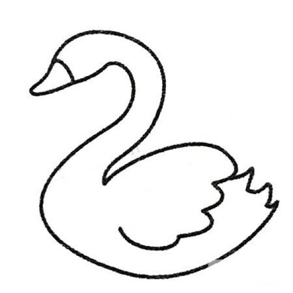 Complete collection of swan simple strokes and drawing steps