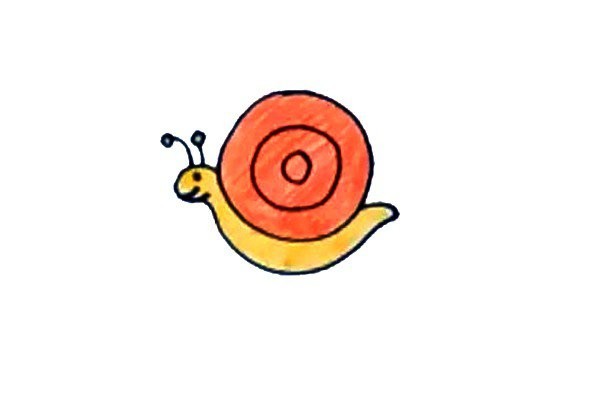 How to draw a little snail