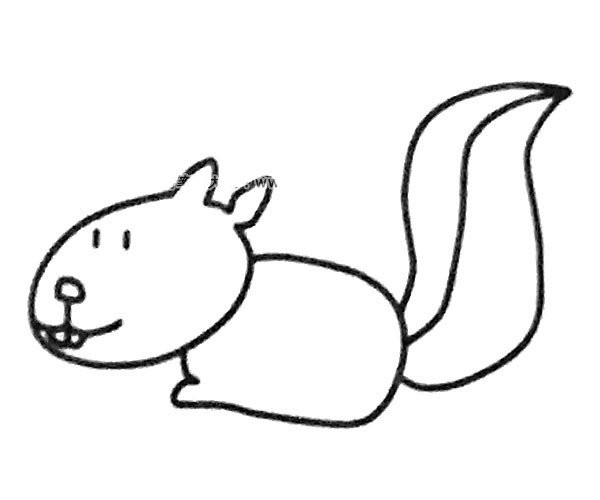 Cute little squirrel simple drawing pictures