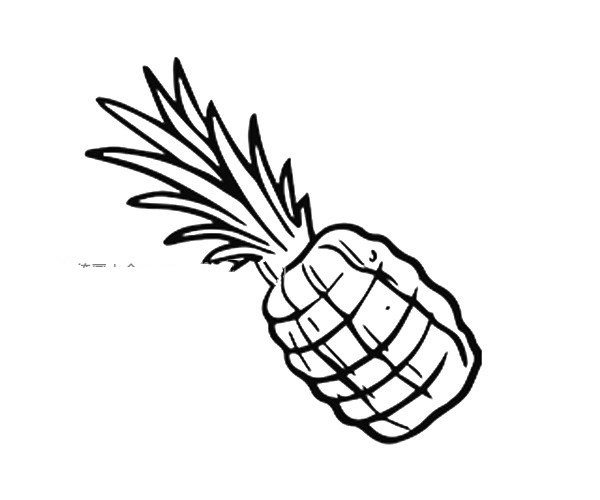 A beautiful simple drawing picture of pineapple