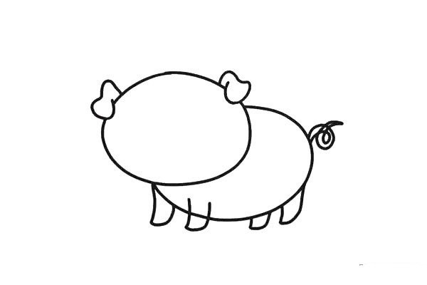 Draw a cute little pig