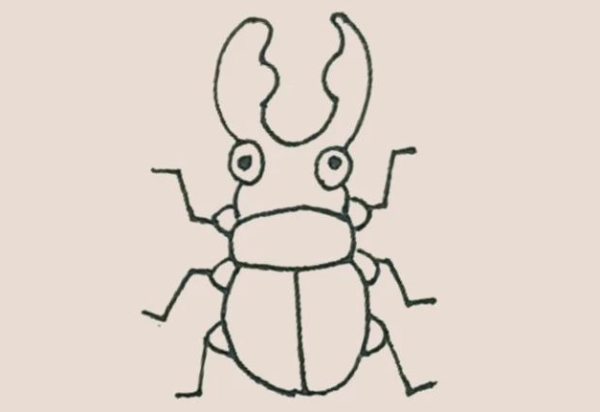 Simple drawing of beetle